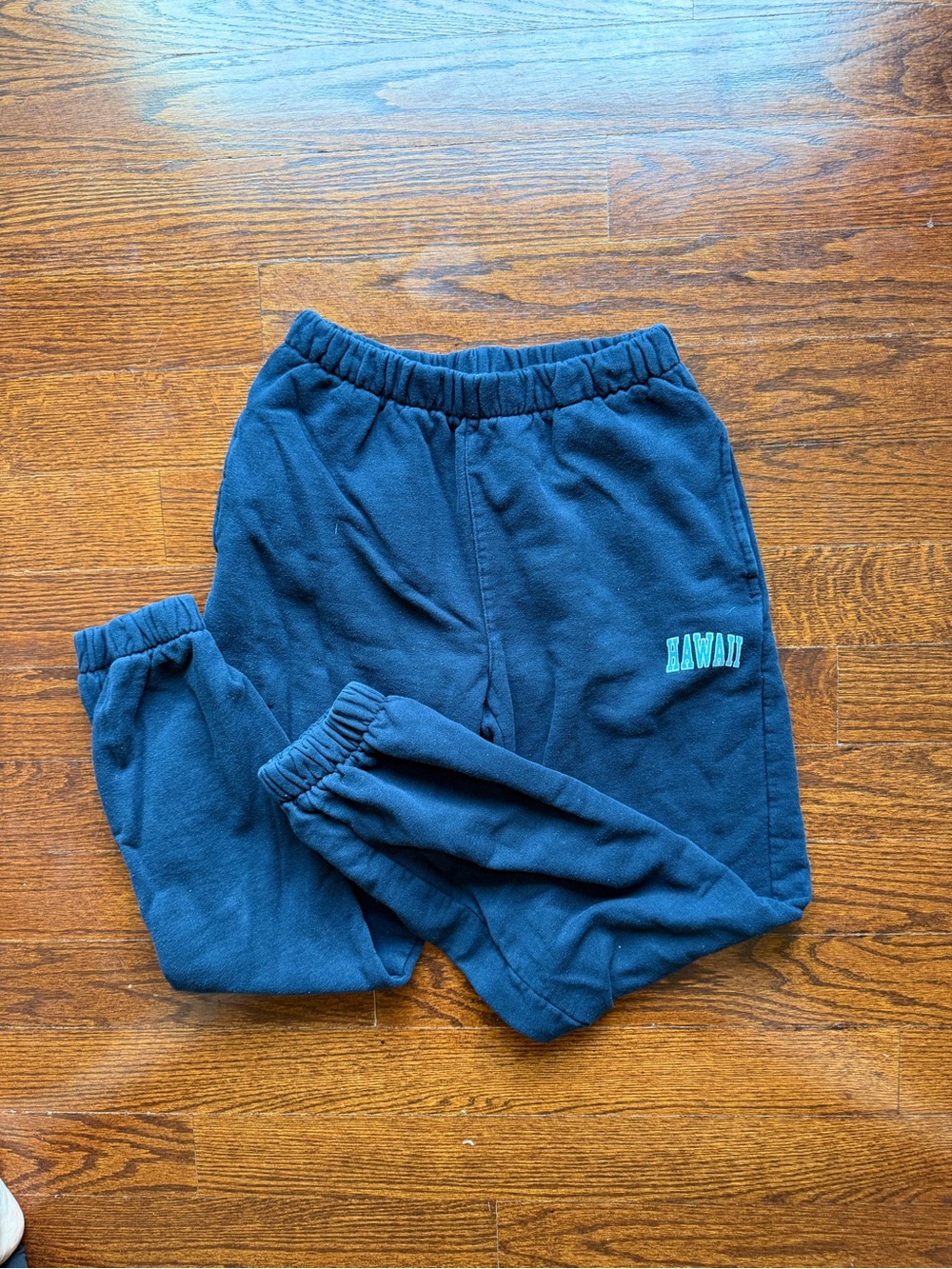 Brandy Melville Navy Hawaii Sweatpants